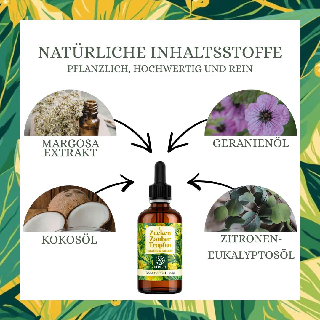 Zeckenzauber 50 ml - Spot On für Hunde - Zeckenschutz für die gesamte Saison - Zeckenmittel für Hunde - pflanzliche Inhaltsstoffe - gegen Zecken, Milben, Flöhe
