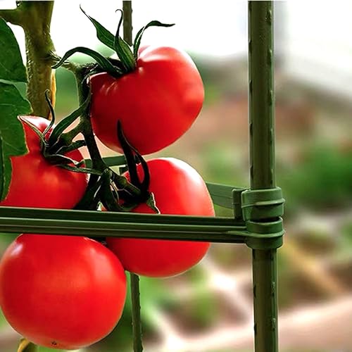 Miniatura 5 de River 50 conectores de jaula de tomate, marco de escalada de plantas, soporte de conector, brazos de estaca expandibles ajustables de plástico