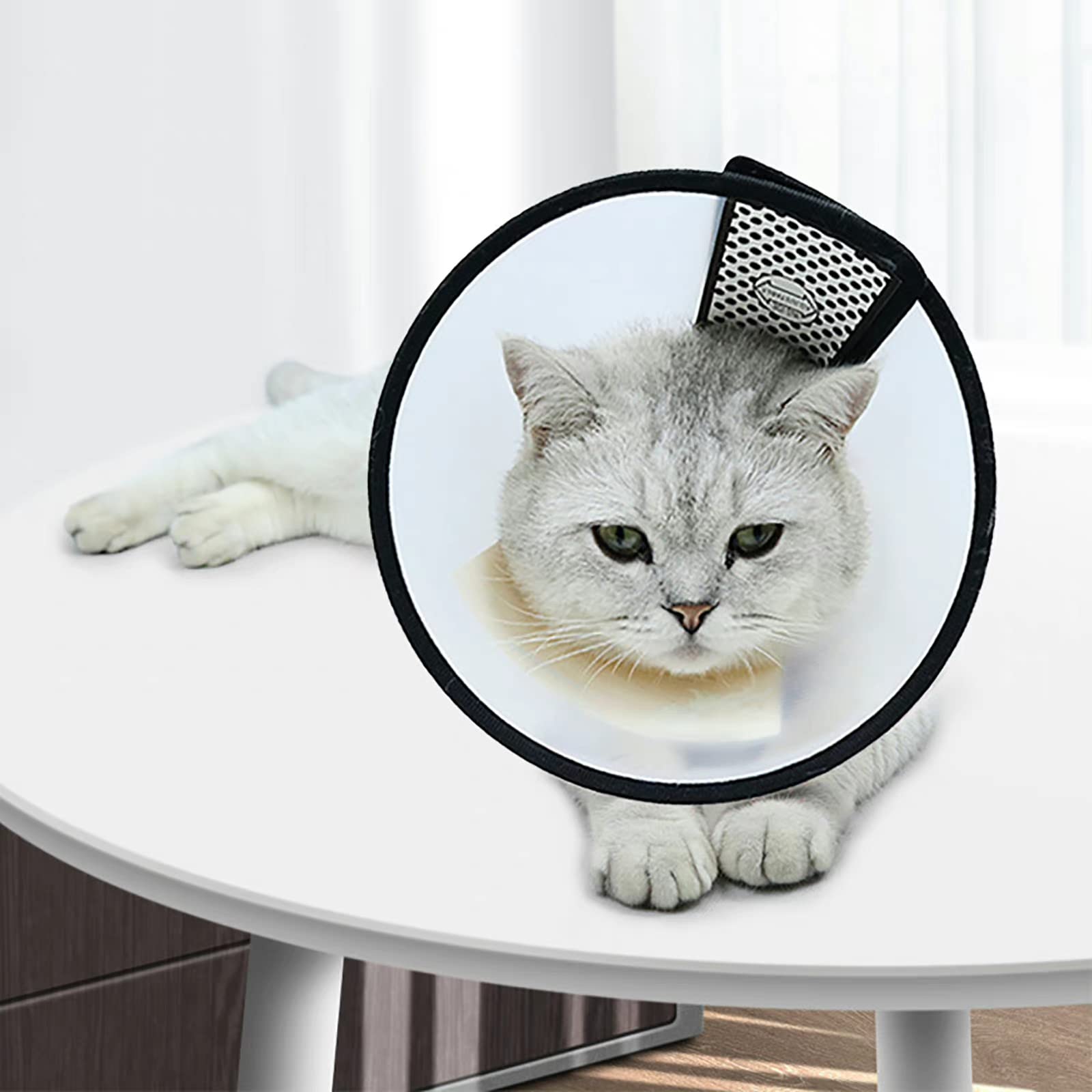 Pet Elizabethan Collar Extra Large Pet Health Recovery Elizabethan Collars Durab
