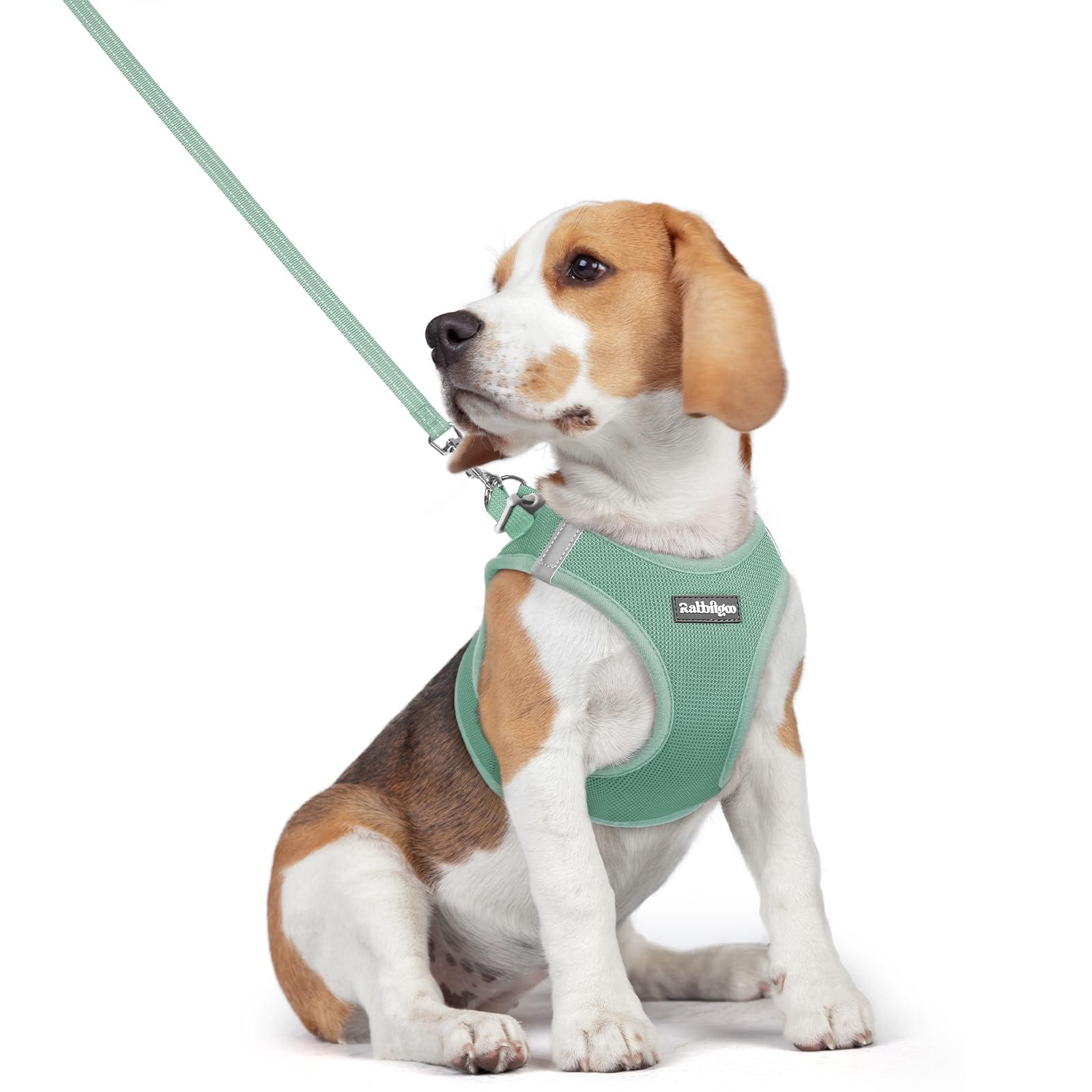 rabbitgoo Dog Harness Medium Sized and Leash Set, Step-in Puppy Pet Vest