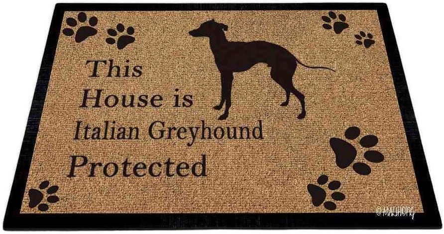 Dog Silhouette DoorFloor Mat This House is st. Bernard Protected Floor Mat Dog Paw Print Gray Rugs for Home Decor 27.5 x 17.7 Inch