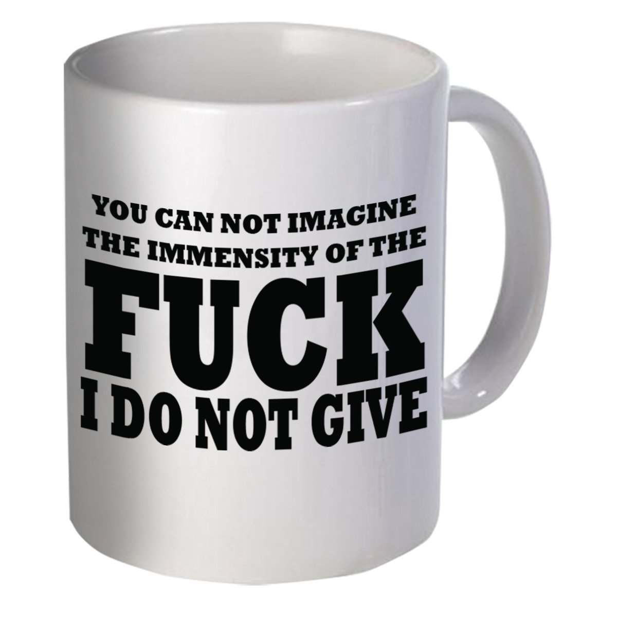 Coffee Mug You Cannot Imagine The Immensity Of The Fuck I Do Not Give, 11OZ