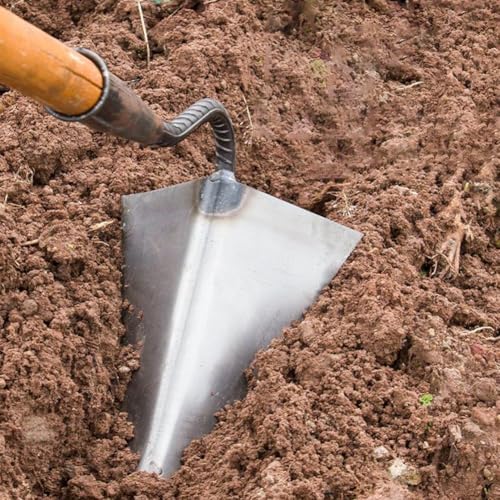 tkerinse Binette triangulaire en acier inoxydable pour jardinage et nivellement du sol (30 cm)