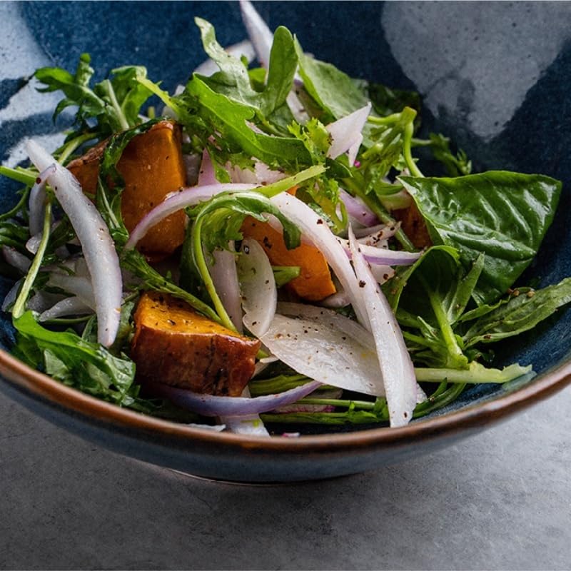Saladier Vaisselle en céramique Moderne, Bol à Salade Simple, Bol d'apéritif en céramique, récipient à déjeuner Bol