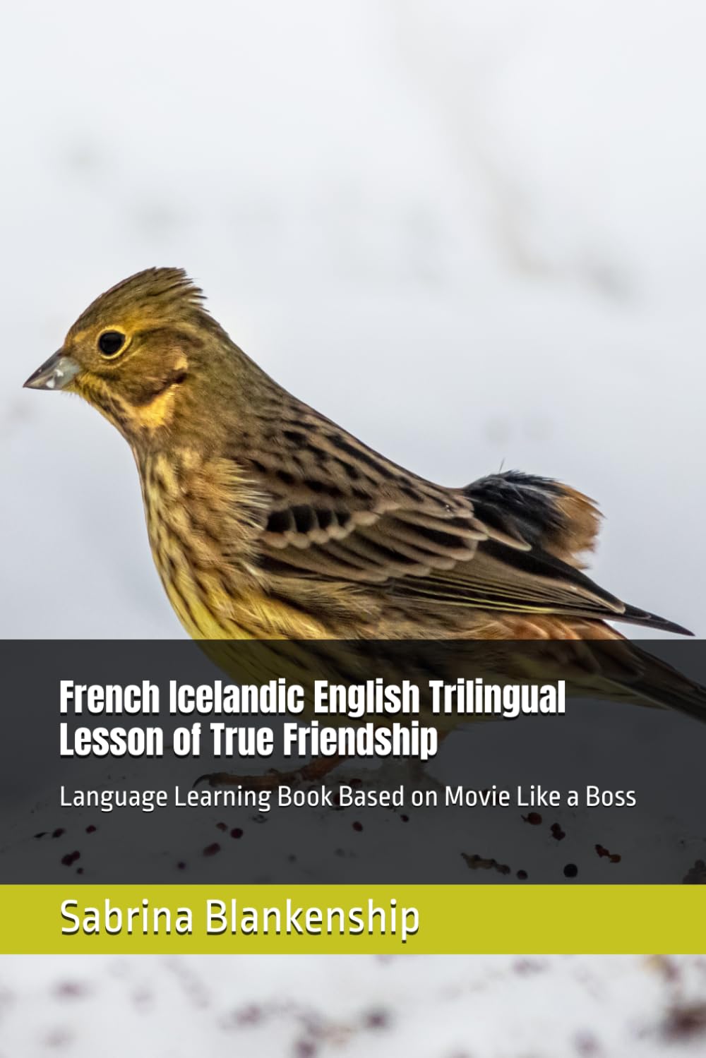 French Icelandic English Trilingual Lesson of True Friendship: Language Learning Book Based on Movie Like a Boss