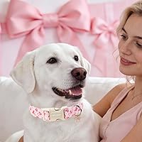 Vista 139 de DOGWONG Collar de perro Airtag de algodón y cáñamo, collar resistente para perros con soporte para Airtag, collares verdes para perros pequeños