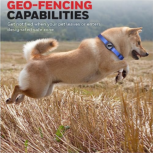 Honeywell Rastreador de atividades para animais de estimação com GPS para cães, azul - use sua colei