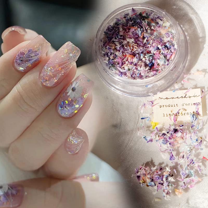 ドライフラワー ネイルパーツ 押し花 天然花 花 デコパーツスターフラワー Amazon.co.jp: ドライフラワー ネイルパーツ 押し花 レジン用 花