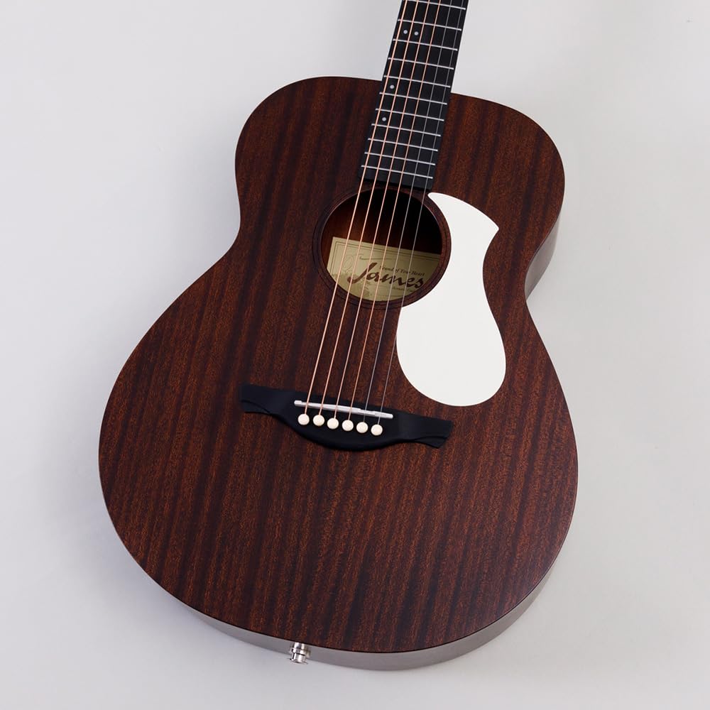 Amazon | James J-300CP/M BKM (Black Mahogany) アコースティック