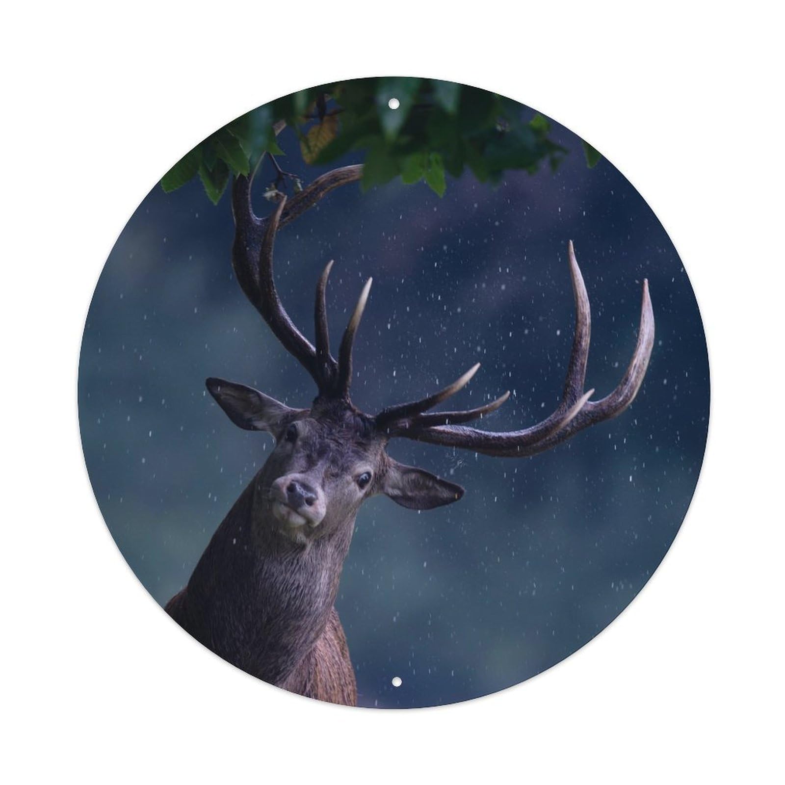 Animal Deer in The Rain Vintage Metal Tin Sign Plaque Wall Decor for Cafe, Club, Garden Round Metal Poster 8x8Inch