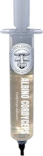 Albino Cordyceps (Cordyceps militaris) Liquid Culture 20mL | Spawn Mycology