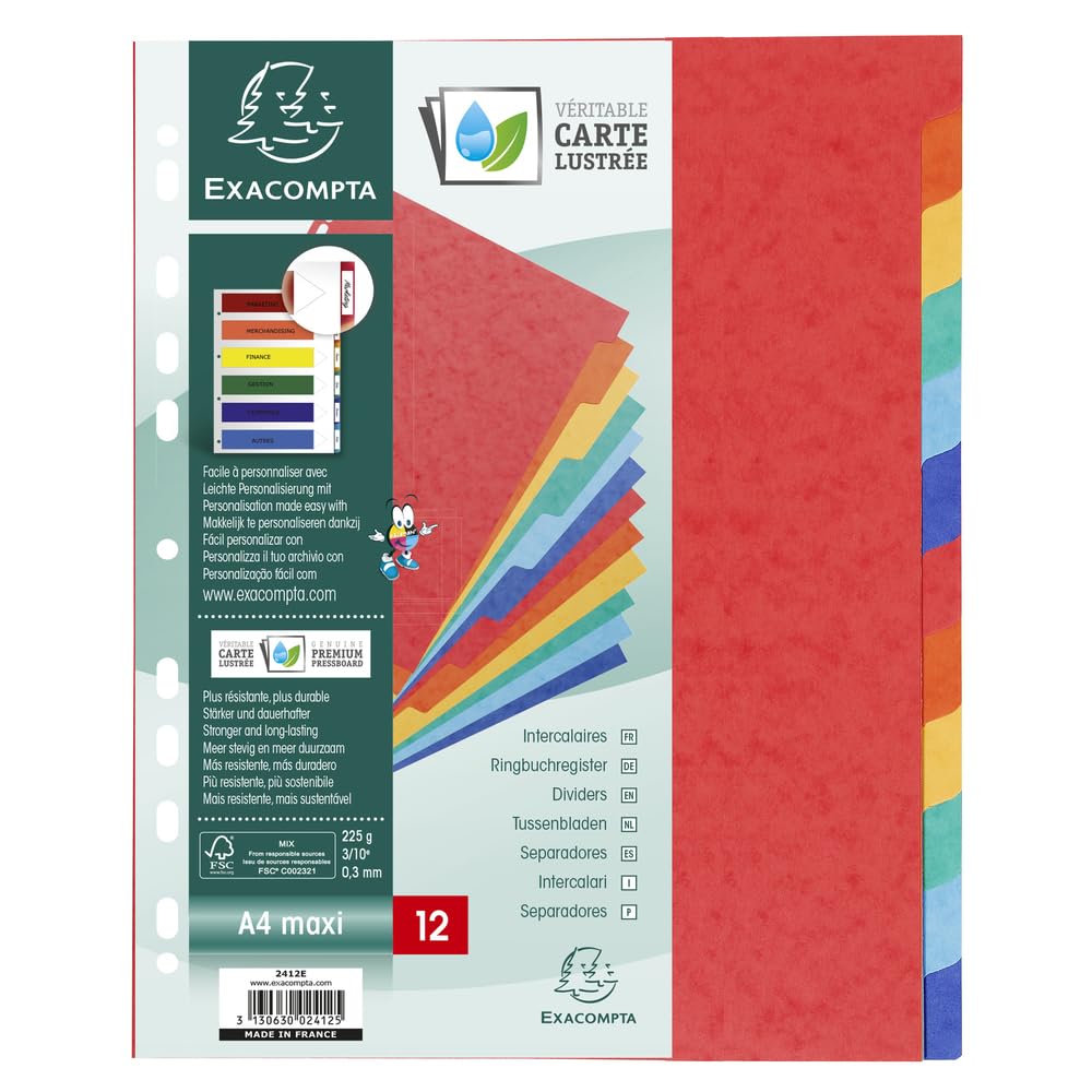 Exacompta Jeu d'intercalaires 12 positions format 24x30cm Maxi Carte lustrée 3/​10e.