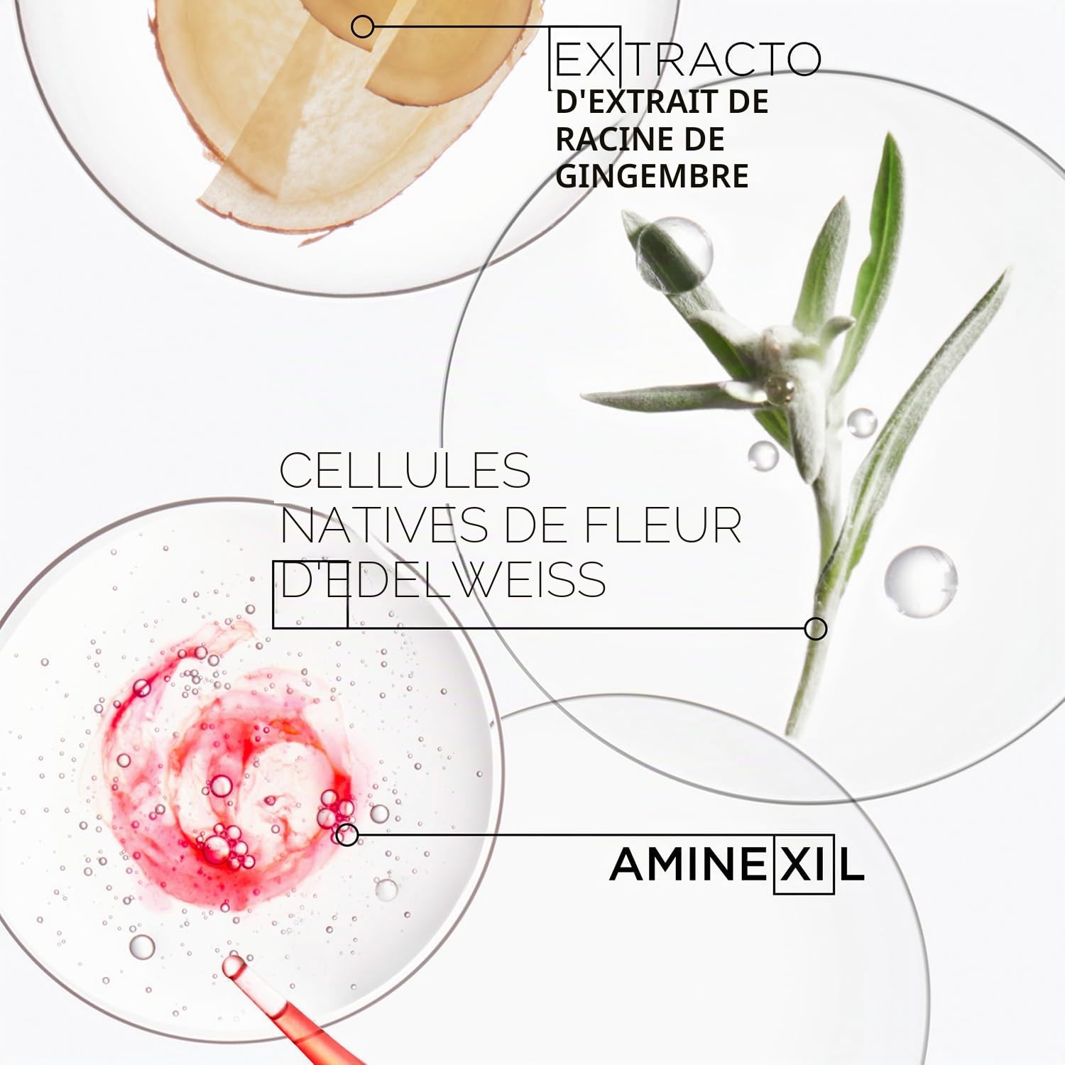 KÉRASTASE Genesis - Cure Anti-Chute Fortifiante - Traitement Enrichi en Aminexil - Formule Légère Sans Rinçage - Cheveux Fins, Cassants & Fragiles - Aide à la Repousse - Résultats visibles rapidement