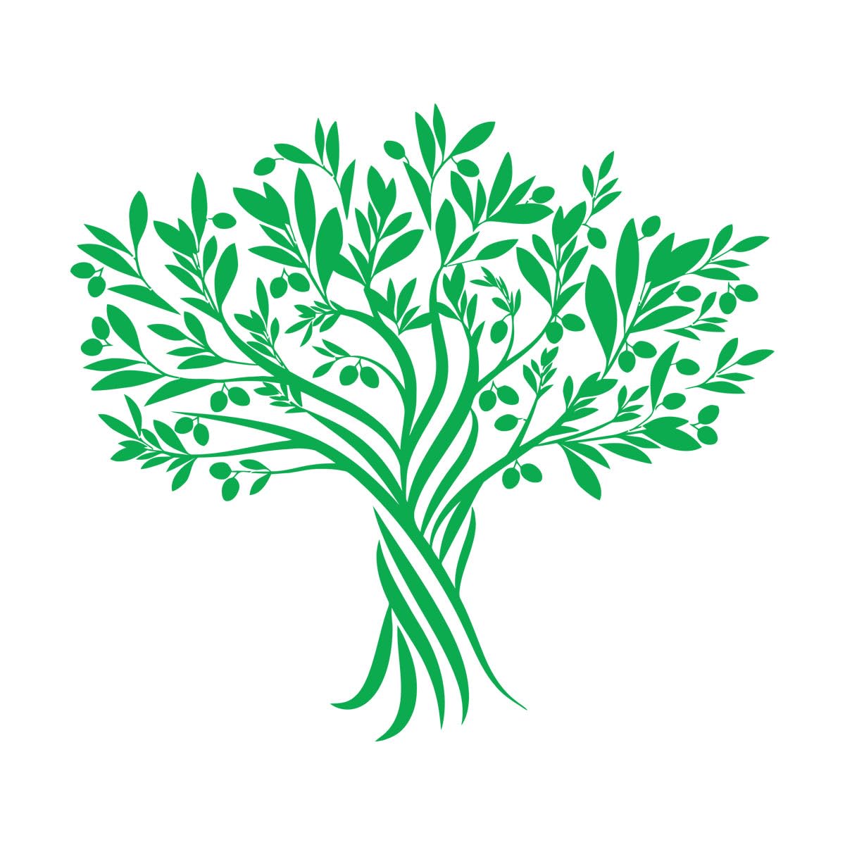 Fine Carving Decals Black and Green Olives Tree Branch Garden Natural 36x40.2cm Can Modify and add Information Small Green