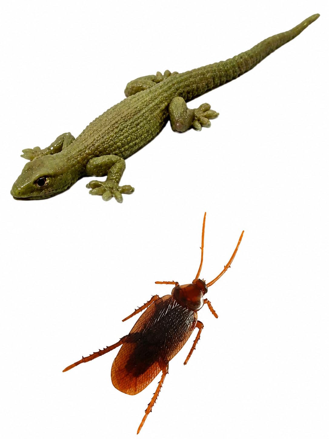 Crafts and Toys Fake Cockroach and Chipkal! Fun Prank Toys for Kids and Adult Rubber Practical Jokes and Trick Toys Orignal Looks (Brown) (Pack of 1 Cockroach, 1Chipkal!)(N812)-image-42