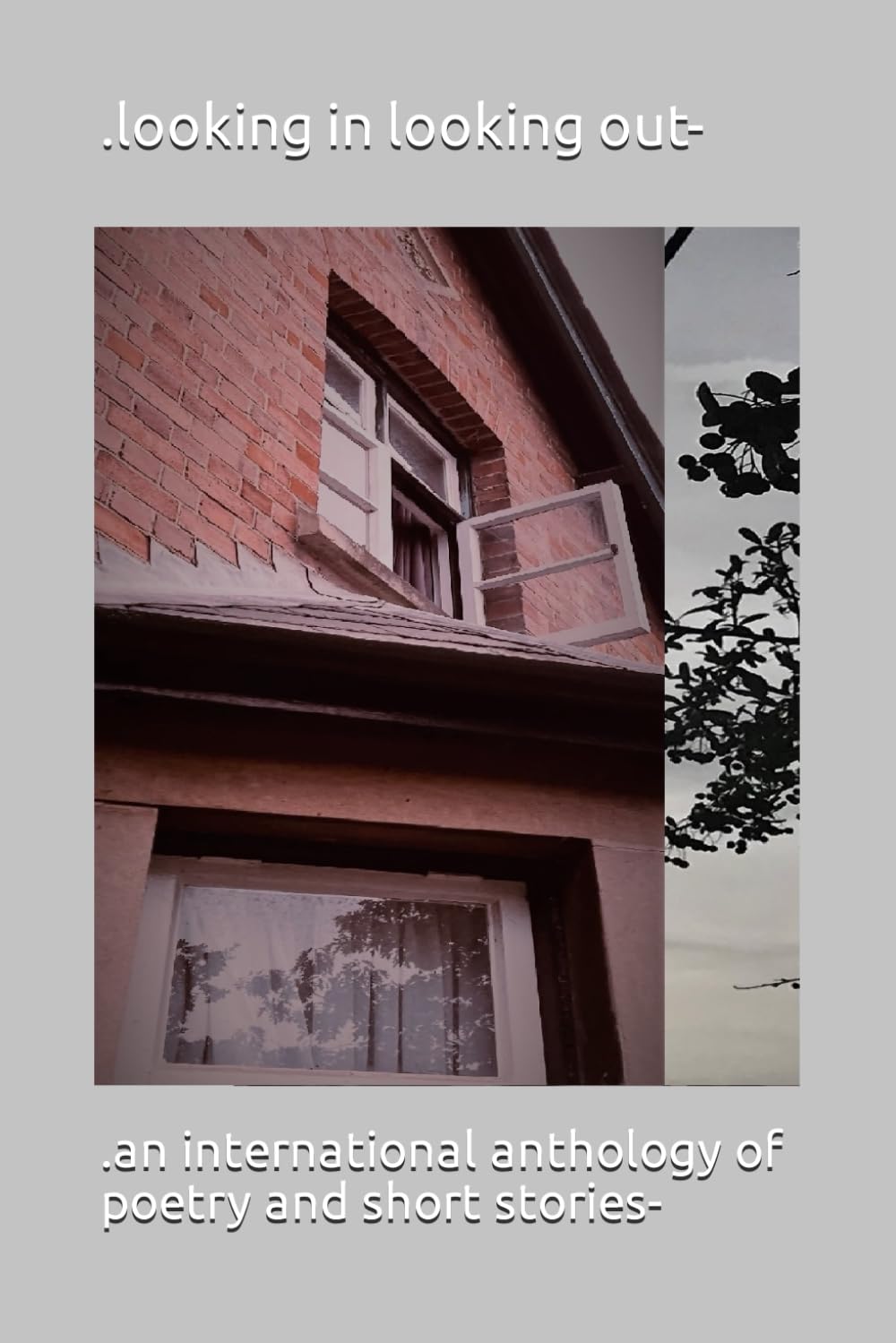 .looking In looking out-