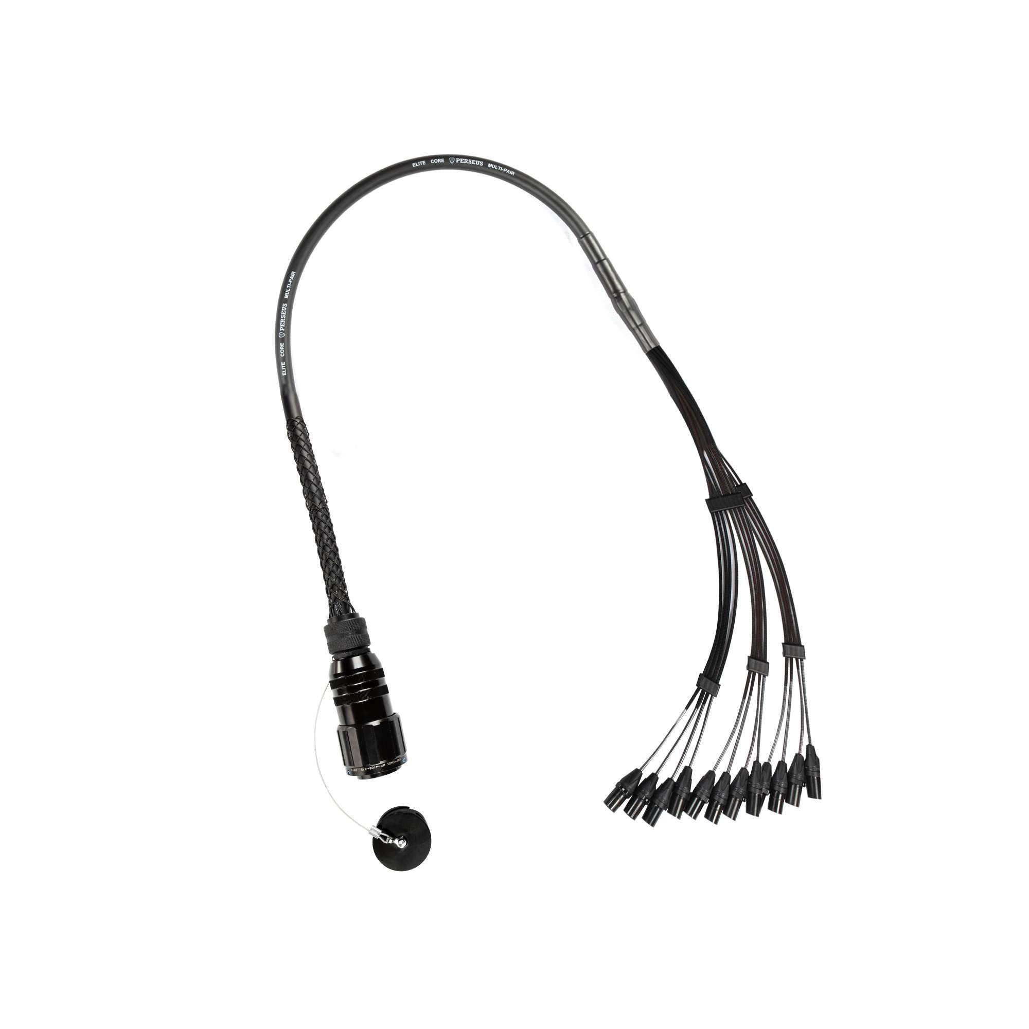 Elite Core Perseus PERS12-WMP-FO 12 CH Multi-Pin Amphenol MP-65 to Female XLR Fan Out