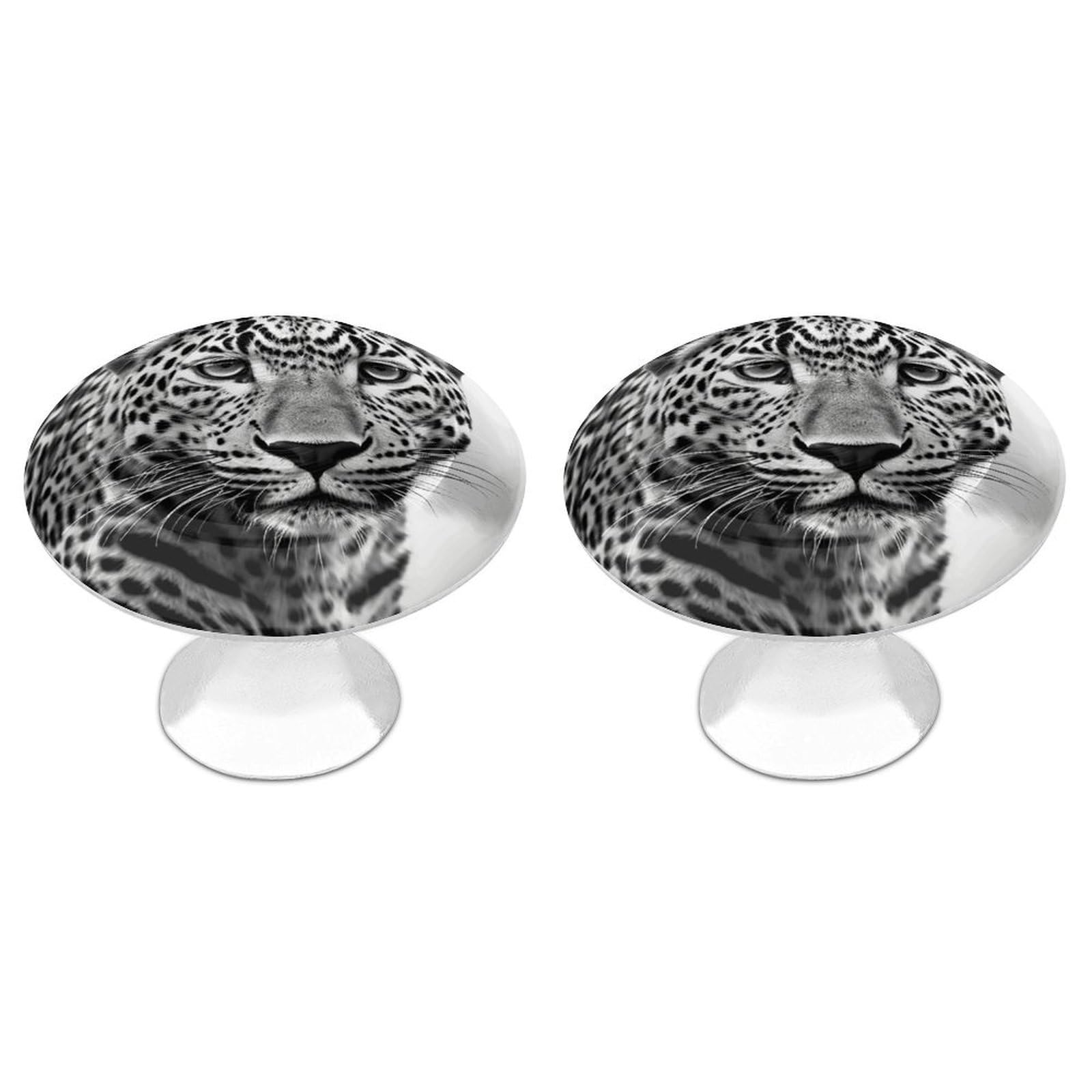 FekiLoot Round Cabinet Knob 2 Pack Kitchen Drawer Knobs Stainless Steel Round Drawer Pulls Modern Cabinet Hardware Black White Leopard Animal Drawer Hardware for Dresser Closet Door Knobs