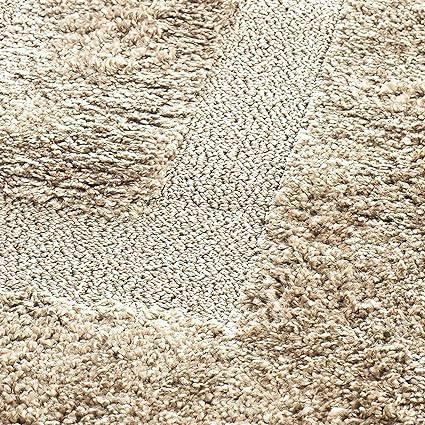 Image of Shaggy Rug for Bedroom Living Room 4X6 FEET Fluffy Plush Area Carpet with Non Slip Backing, Modern Cozy Floor Rug for Home Decor and Comfort (Beige Frame)
