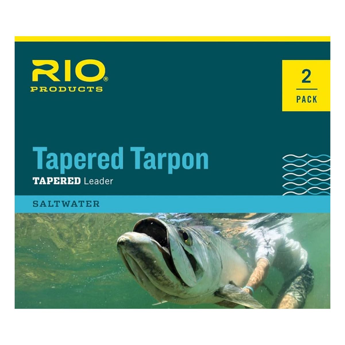 Tapered Tarpon Leader 12ft 40/80LB- 2pk