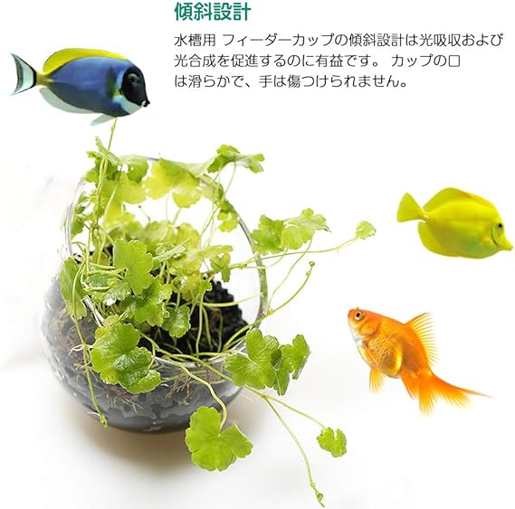 人気の新作 魚エ 取り外し可能 熱帯魚 給餌器 餌やり器 餌入れ 水槽用 ワームフィーダ 水槽 フィーダーカップ 水槽用 Pssopp Pssopp 熱帯魚 アクアリウム用品 Www3 Cilsa Org