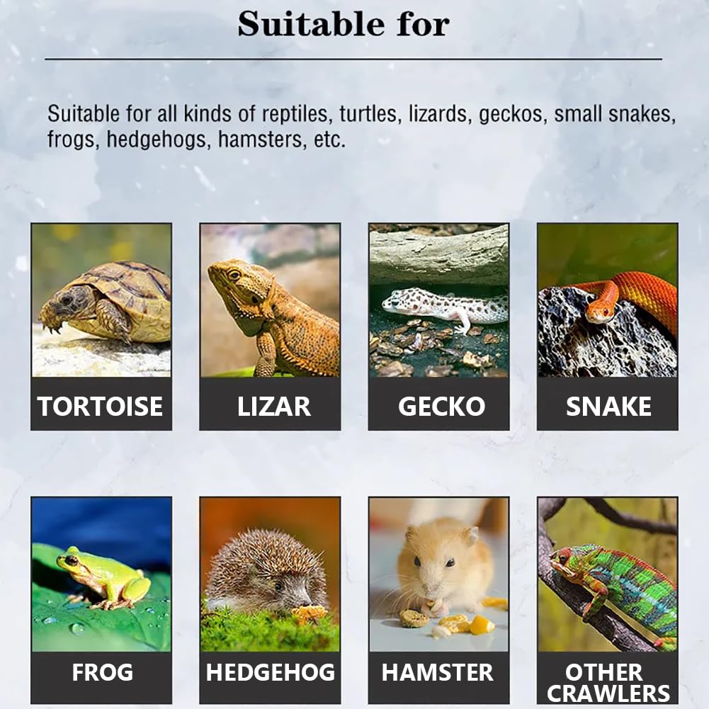Reptile PC Terrarium, Zestaw startowy zbiornika płazów, zbiornik gadów w stosunku do wielu powtórzeń domowych gospodarstw domowych, żółwia terrarium na jaszczurki, rogowe żaby,L brown