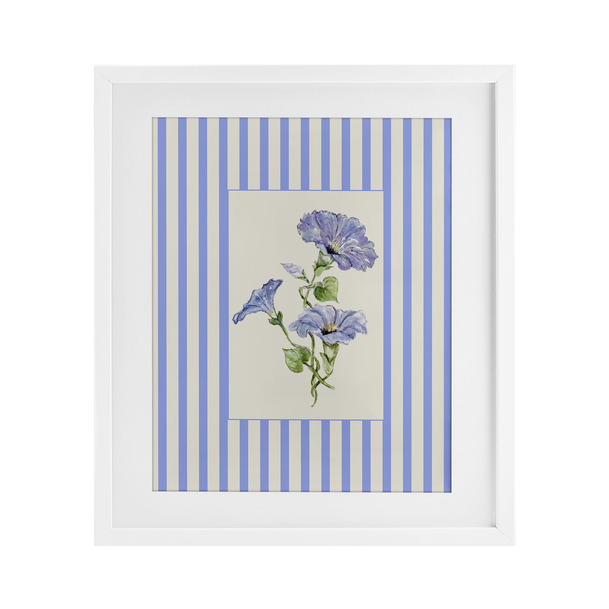 'Blue Stripe Morning Glory'| Framed Print Under Glass