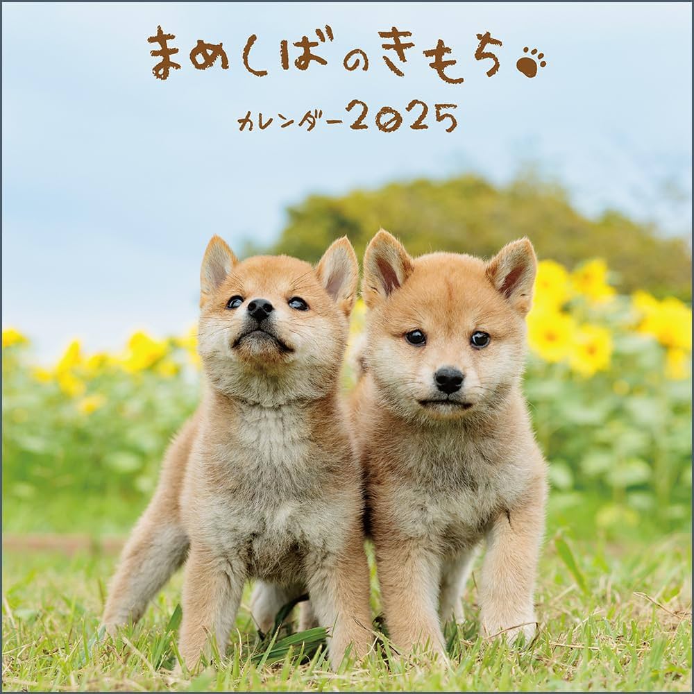 もち 壁掛け・アレンジ Amazon.co.jp: MENALGNDI かわいいレッサーパンダ振り子壁掛け