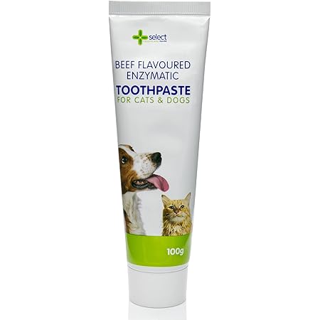 dog toothpaste uk