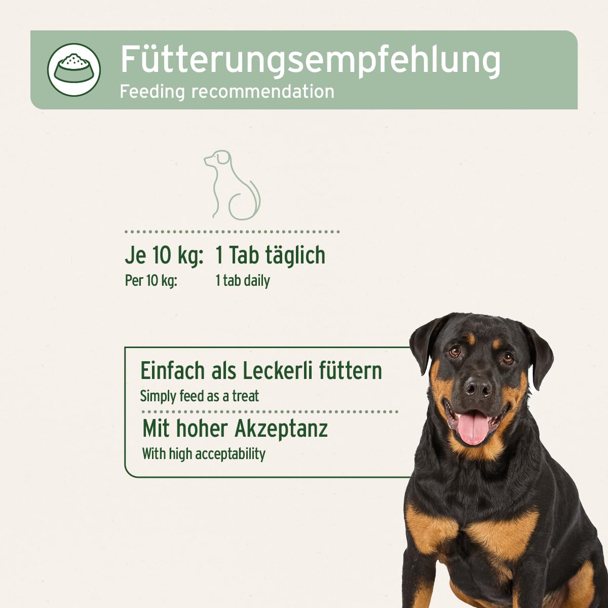 AniForte Gelenktabletten Hund AgilityVet 120 Stück - Natürlich & getreidefrei, fördert Mobilität & Bewegung, Gelenktabletten für Hunde mit Grünlippmuschel, Kollagen, Omega 3 & Teufelskralle