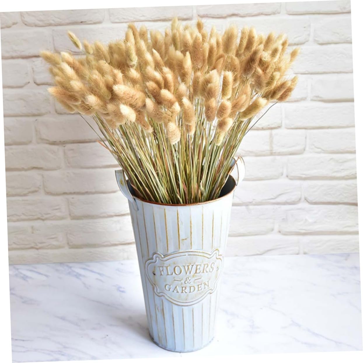 Cabilock 3 Uds 1 Uds Decoración del Hogar Flores Secas Cola De Conejo Plantas Naturales Flor Natural para Foto Hogar Pennisetum