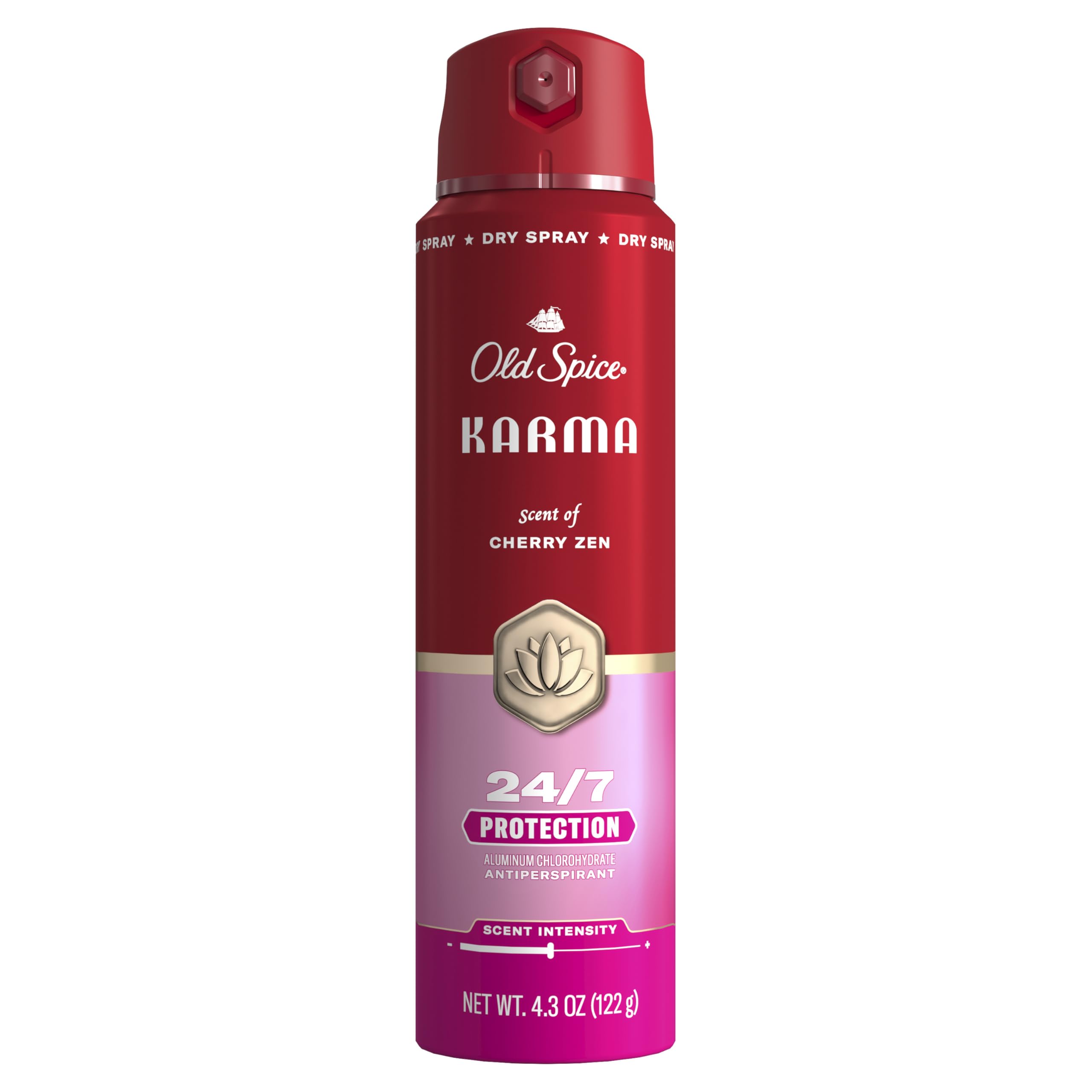 Amazon.com : Old Spice Antiperspirant Spray for Men, 24/7 Sweat