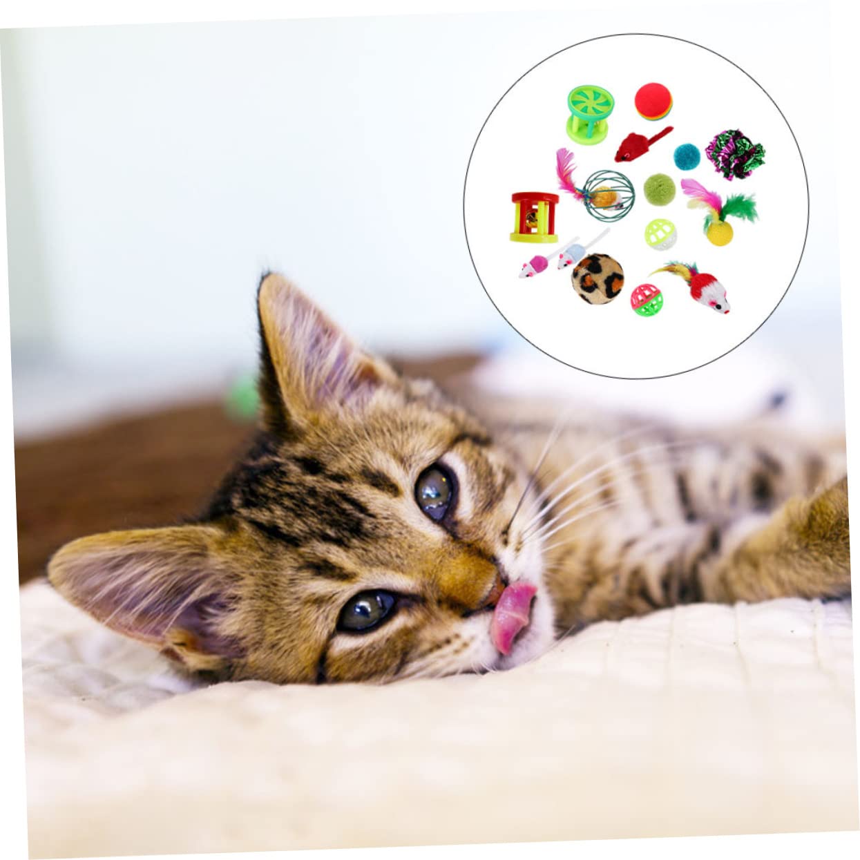 Happyyami 96stücke Teiliges Interaktives Katzenspielzeug Federn Und Glockenbällen Für Katzen Und Kätzchen Fördert Spiel Und Bewegung Schützt Möbel Und Sorgt Für Stundenlangen Spaß