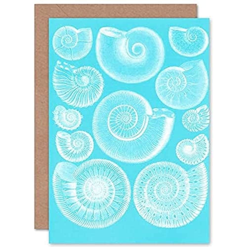 Fossil Sea Ammonites Blue Greeting Card With Envelope Inside Premium Quality
