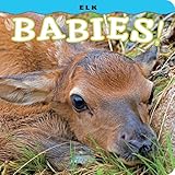 Elk Babies! (Babies! (Farcountry Press))