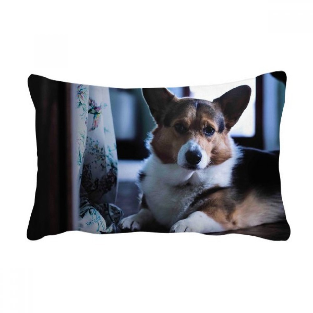 Oreiller lombaire corgi housse et insert pour soulagement du dos