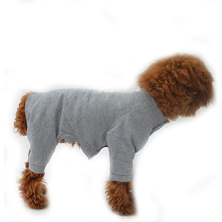 dog clothes with legs