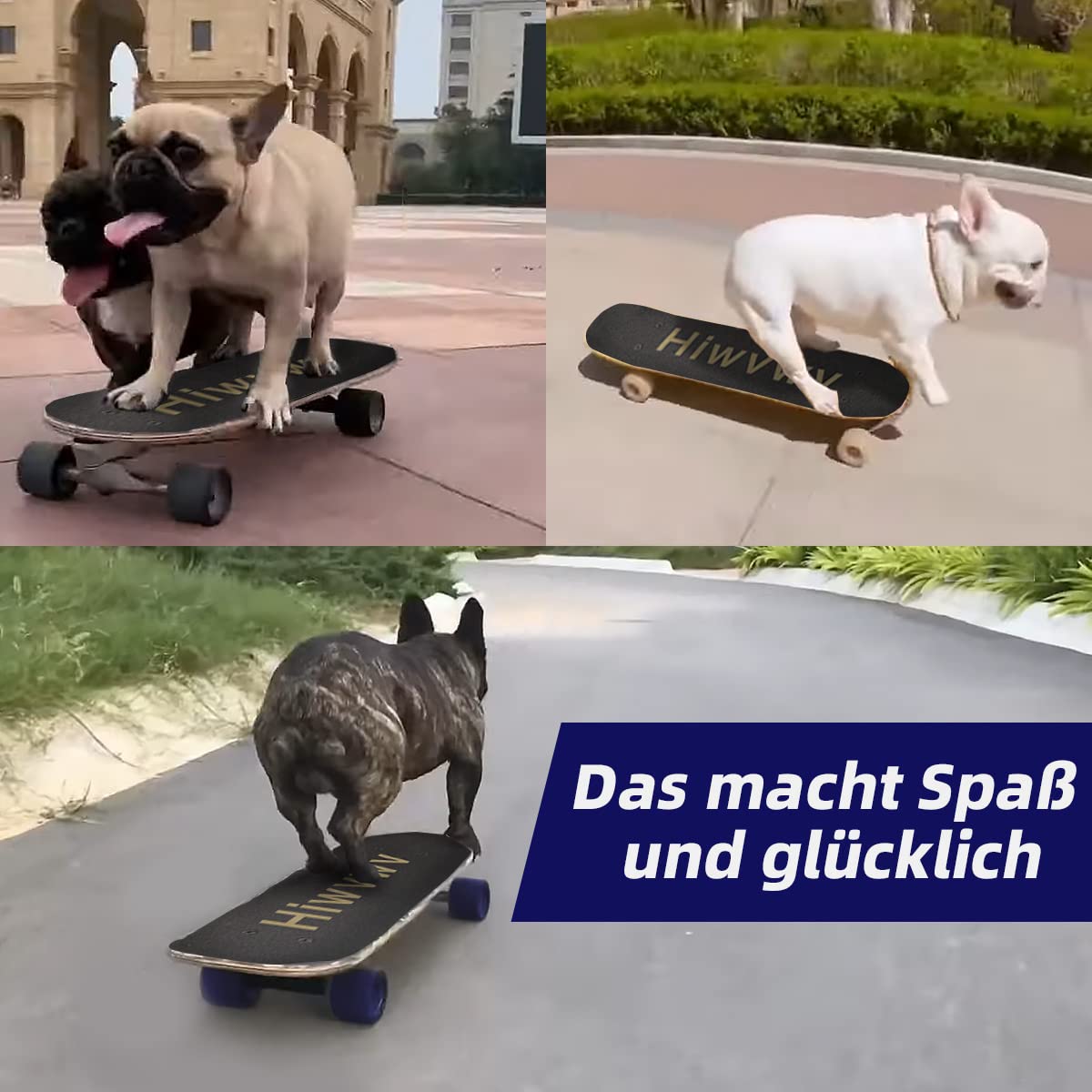 Mini monopatín para niños Principiantes Niños pequeños Cruiser Skateboard con gráficos geniales para niños de 3 a 6 años - Cubierta de madera de arce de 17 pulgadas, ruedas de 54 mm, liviano