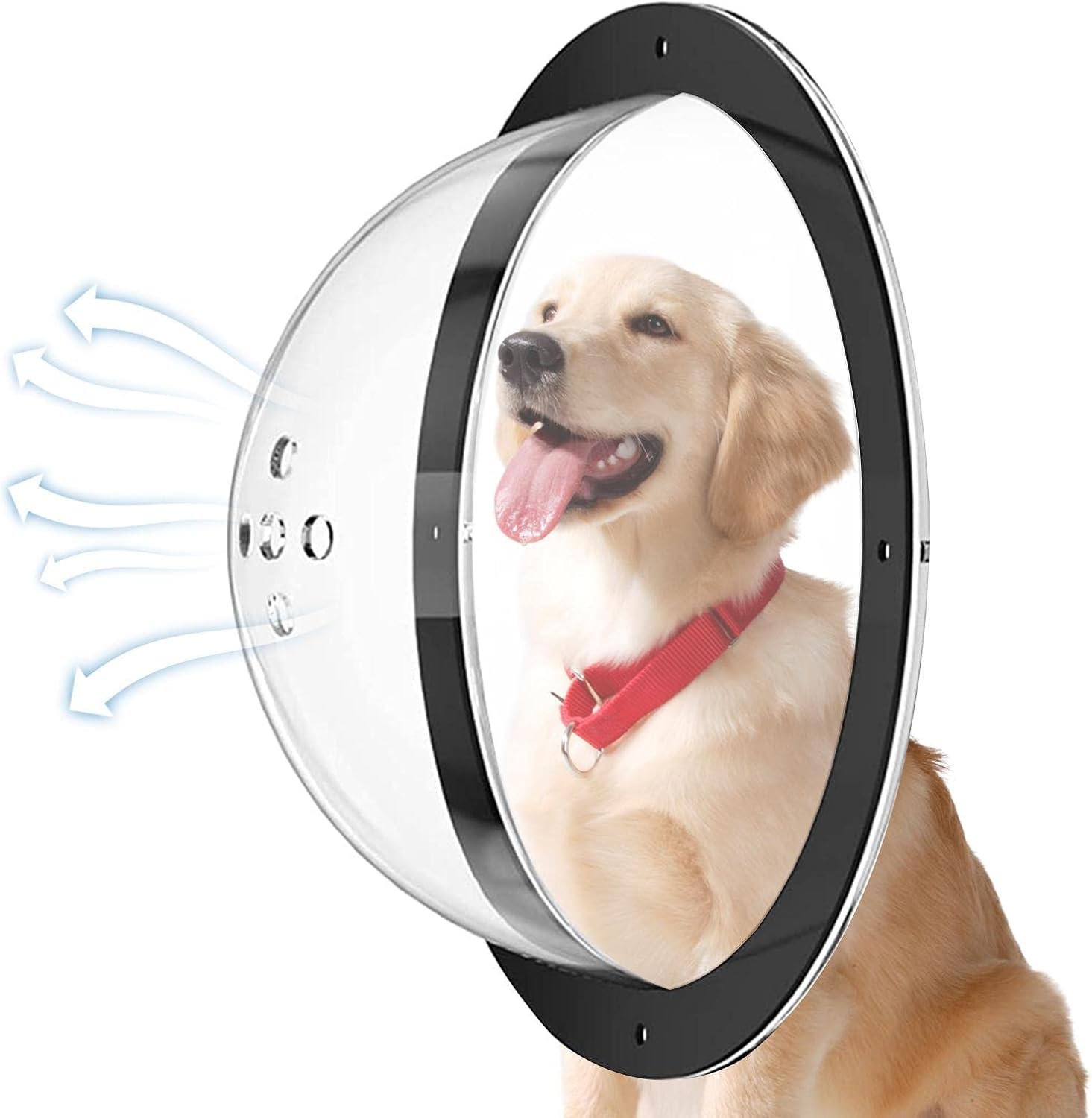 Bavokon Acrylic Dome Porthole Window Pet Multiple Ventilation Holes Acrylic Dome Clear Dome