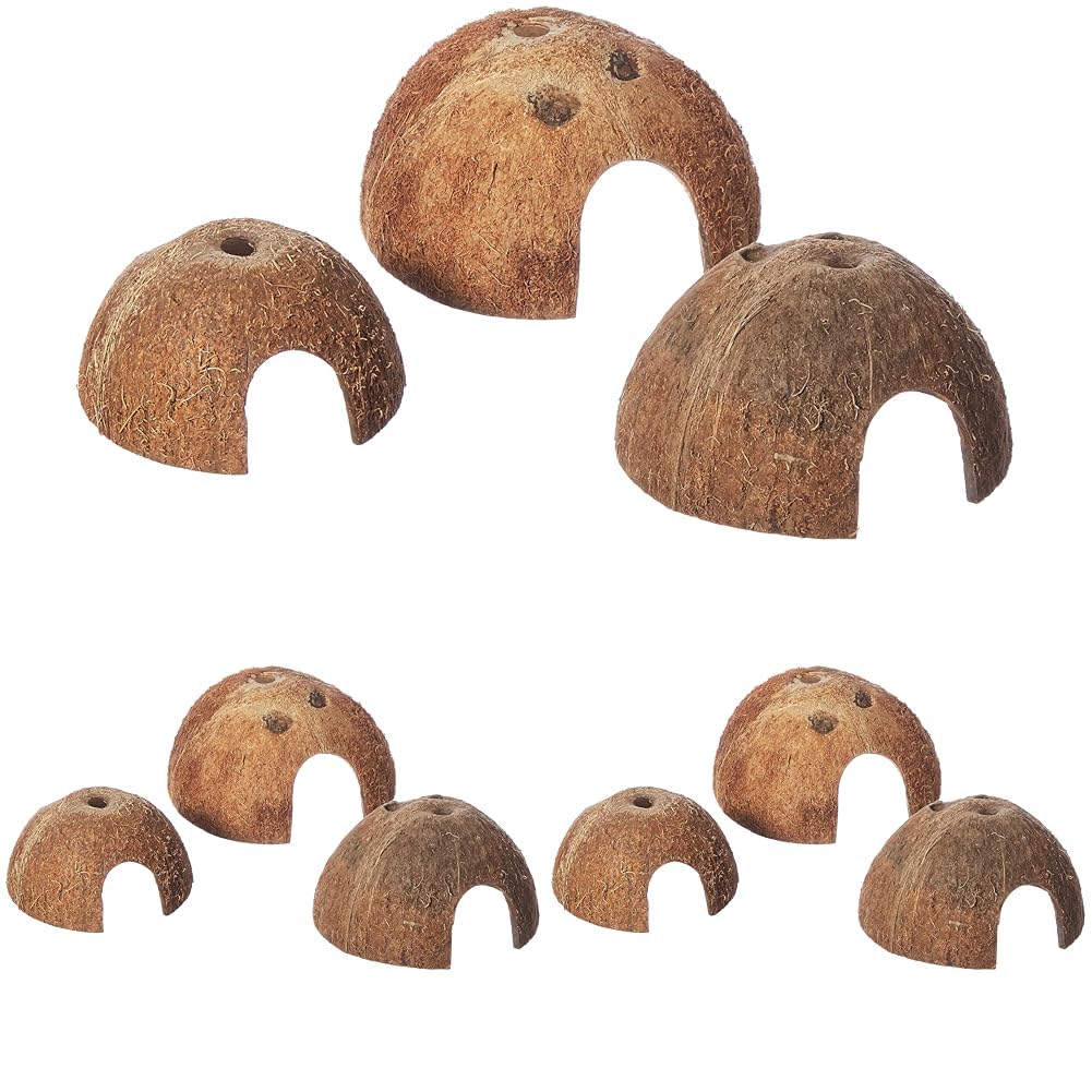 Trixie 76160 Set Kokosnuss Halbschale, Hund, ø 8/10/12 cm, 3 Stück (3er Pack)