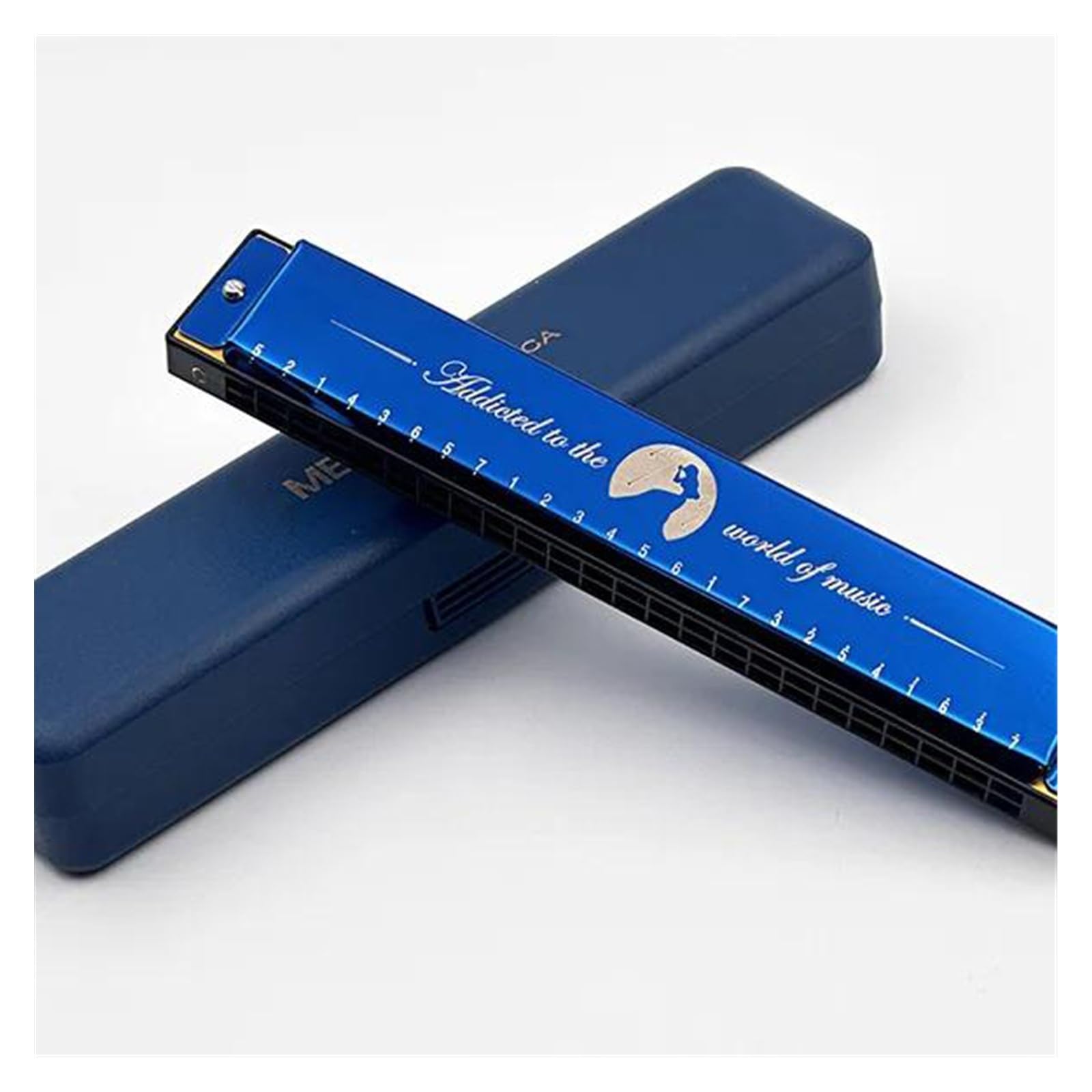 Armonica Armonica polifonica a 24 fori nella tonalità di Do Armonica per principianti autodidatta per adulti(Blue)