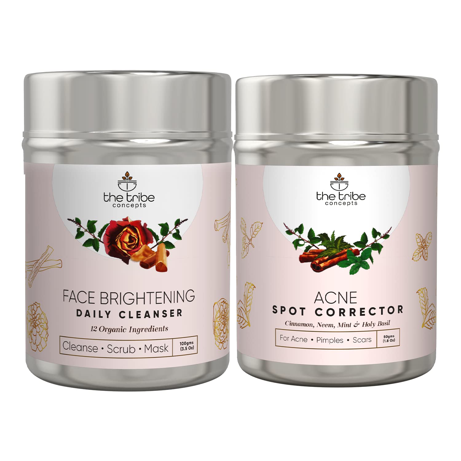 The Tribe Concepts AntiAcne Powder Kit, Effective Ayurvedic Powder