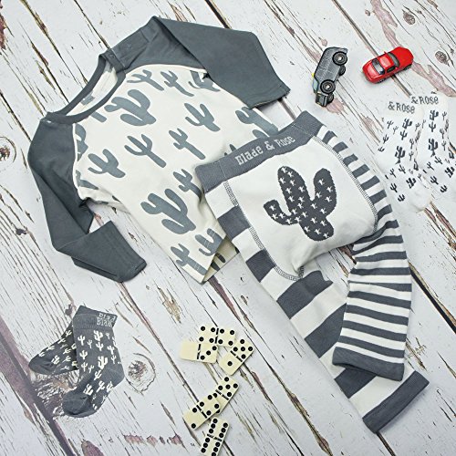 Meia Calça Legging Infantil Cacto 6-12 meses, Blade and Rose, Cinza