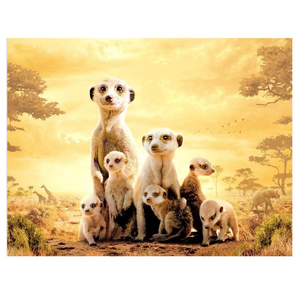 5D Diamond Painting Kit 'Erdmännchen' – 25x30cm, Full Drill, Komplett Mit Diamanten & Werkzeug, Für Erwachsene & Kinder