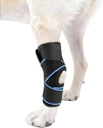 Miniatura 4 de Rodillera para perro para soporte de pierna trasera, soporte de compresión de articulación de hockey ACL para patas traseras, soporte estabilizador