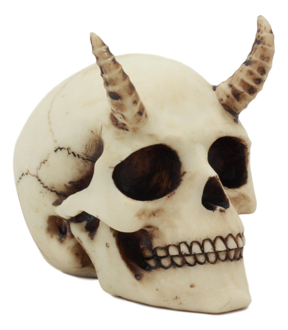 VALIEM 鉢　L size skull bitter s-l1200.jpg