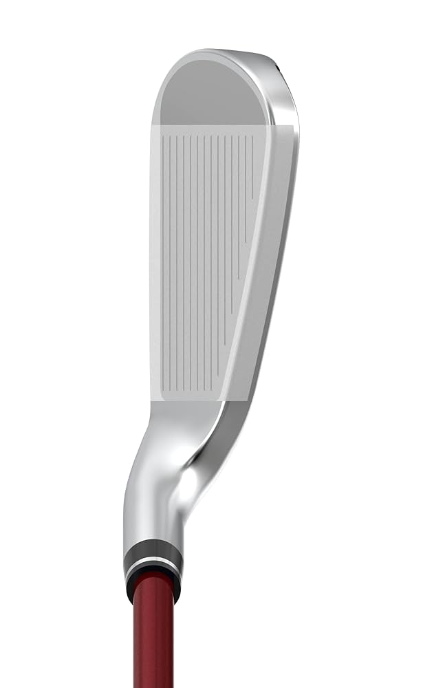 ゼクシオ12　アイアンセット　4本　純正スチール（S）／XXIO12 ゼクシオ 12 アイアン | アイアン | 製品情報 | DUNLOP GOLFING