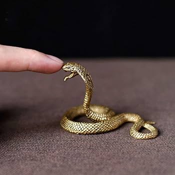 61Ykob0CVHL._AC_UF350,