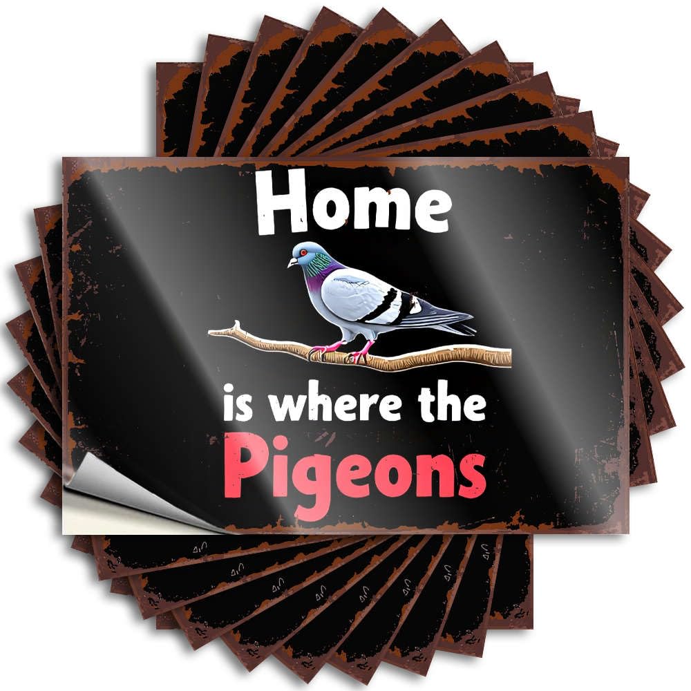 Fzfn Colour Decal Bookish, Friends Hard Home Is Where The Pigeons. | Home Decor Accessories(12X18cm)