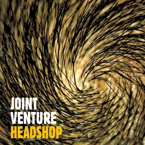 Joint Venture Digital Music